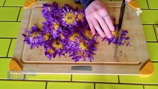 Невероятно интересные истории