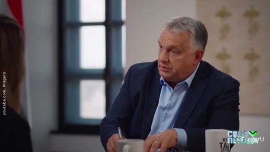 Своя правда смотреть онлайн Rufilm.TV Своя правда