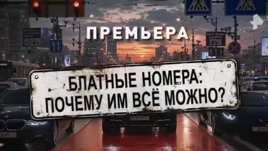 Спецпроект. Блатные номера: почему им все можно?