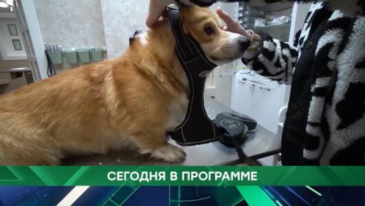Место встречи