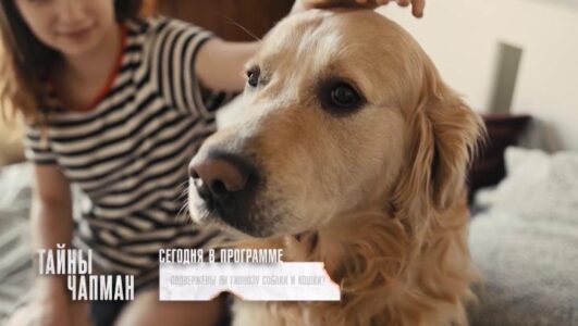 Тайны Чапман смотреть онлайн Rufilm.TV Тайны Чапман