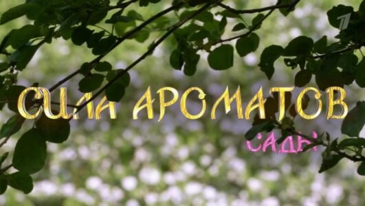 Сила ароматов. Сады