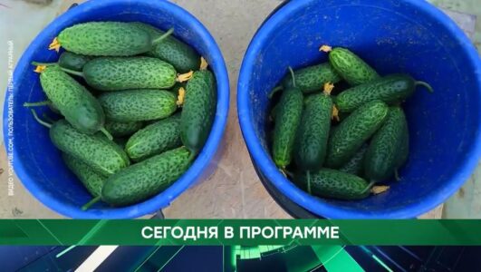 Место встречи смотреть онлайн Rufilm.TV Место встречи