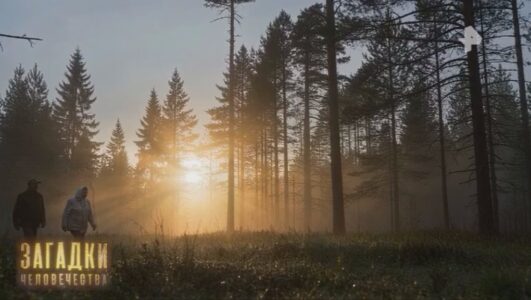Загадки человечества с Олегом Шишкиным смотреть онлайн Rufilm.TV Загадки человечества с Олегом Шишкиным