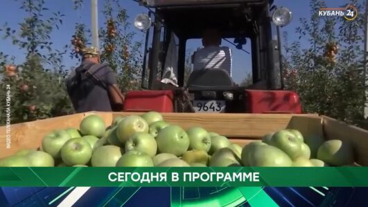 Место встречи
