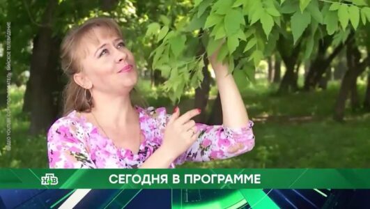 Место встречи смотреть онлайн Rufilm.TV Место встречи