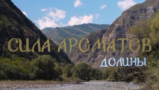 Сила ароматов. Долины смотреть онлайн Rufilm.TV Сила ароматов. Долины