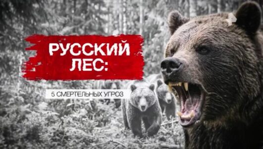 Засекреченные списки смотреть онлайн Rufilm.TV Засекреченные списки